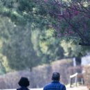 (주)서울신문사