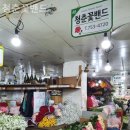 청춘꽃밴드 네이버블로그