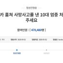 청원카 이미지