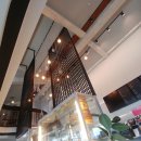 최루백로 이미지