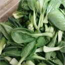 마라중독 이미지