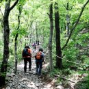 아라메길(3) 이미지