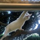 늘푸른숲 이미지