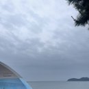 동부면 학동동백군락지