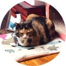 한성대입구역 5번 출구 이미지