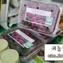 선화농장2 이미지