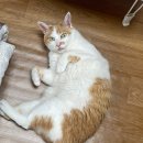 피자스쿨 수원권선점 | 3월 야르모음집