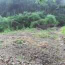 장안동 백자가마터 이미지