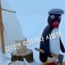 핑구맘 네이버블로그