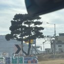 나폴리모텔 | 겨울 남해통영 1박2일 가족 여행