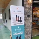 승승장구 인셀덤