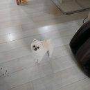 현대시장 | | 3월 월간일기② | 행운이 가득하기를