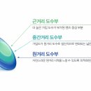 하나로안경콘택트 네이버블로그