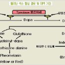 화장품의 의미 이미지