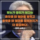 (주)하인지 네이버블로그