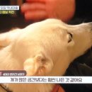 빽곰댄스 이미지