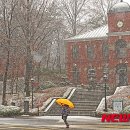 하얀세상 이미지