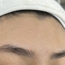 사파동101 이미지