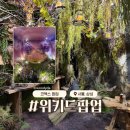 위키드스토어 | 코엑스 놀거리 위키드 팝업스토어 주말 현장 웨이팅 후기