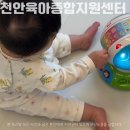 청룡체육관 | 천안육아종합지원센터 애들아놀자 차암동 장난감대여실 반납 올인원아기체육관 대여후기