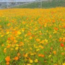 한강시민공원 시계탑 이미지