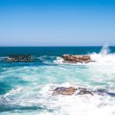 멍베스트 이미지