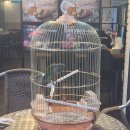 들국화노래연습장 이미지