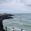 지티행정사사무소 이미지