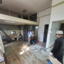 트라비건 이미지