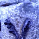 가나안농원 이미지