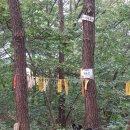 방울산등산로 이미지