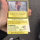 GS25 가능역점 | 비건 담배를 아시나요? <아메리칸 스피릿> 후기, 판매하 편의점 알아보기