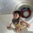 38호공원 Daum카페