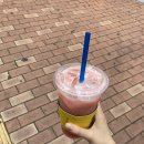 빽다방KBS본관점
