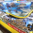 땅끝수산