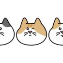 포스디엠 이미지