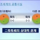 나는 옳아?(원리 전편)창조원리 이미지