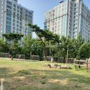 신길선사유적지 이미지