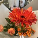 (주)서린시스템 | 한국 1주차 일하는데 계속 휴가라고 우기는 여인의 삶