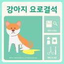 탄현 동물병원 이미지