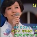 장량천 Daum카페