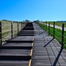 동영목장 이미지