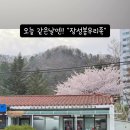 장성봉우리족 네이버블로그