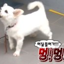 엄마손보리밥 네이버블로그