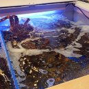 경포대횟집 이미지