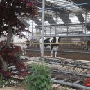 희둘영목장 이미지