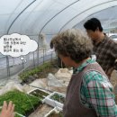 이병훈농장 이미지