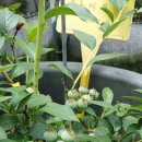 회석농장 이미지