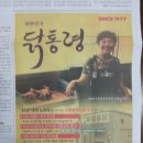 닭통령 Daum카페