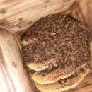 태동농장2 이미지